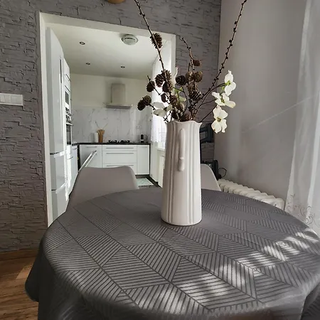 Apartament Sunny Center Apartment, Free Parking